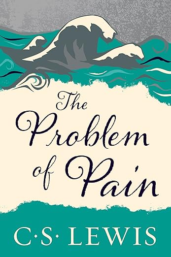 The Problem of Pain